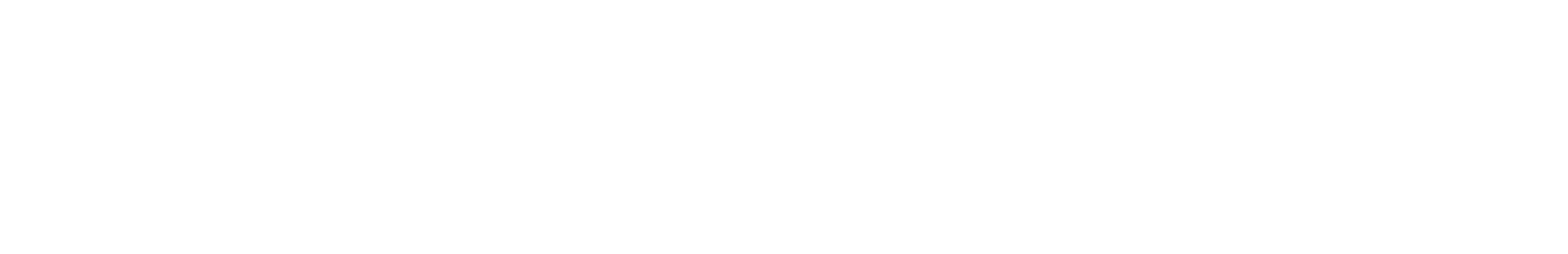 Renaissance Partners